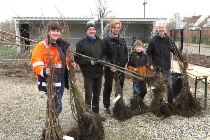 Vlaams-Brabanders planten meer dan 60.000 bomen, struiken en klimplanten: “Aanplantingen zijn nodig om klimaatverandering tegen te gaan”