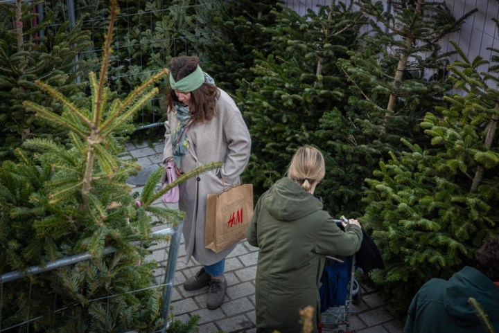 Vast in het kerstboomdoolhof? Dan bellen we om hulp