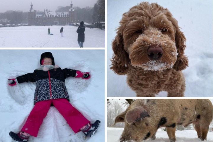 IN BEELD. Mens én dier genieten van dik sneeuwtapijt in regio