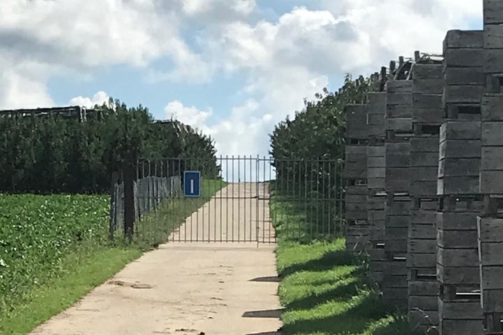 Plots staat er een grote poort midden op de weg