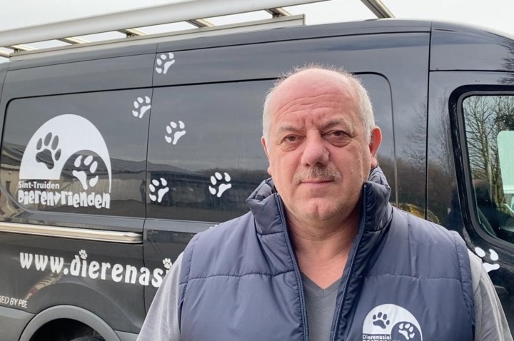 Dierenasiel redt 34 katten uit erbarmelijke omstandigheden in woning: “Hun oogjes zaten onder de etter”