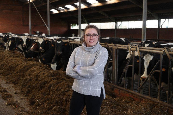 Limburgse boeren over akkoord met Vlaamse regering: “Stap in goeie richting, maar…”