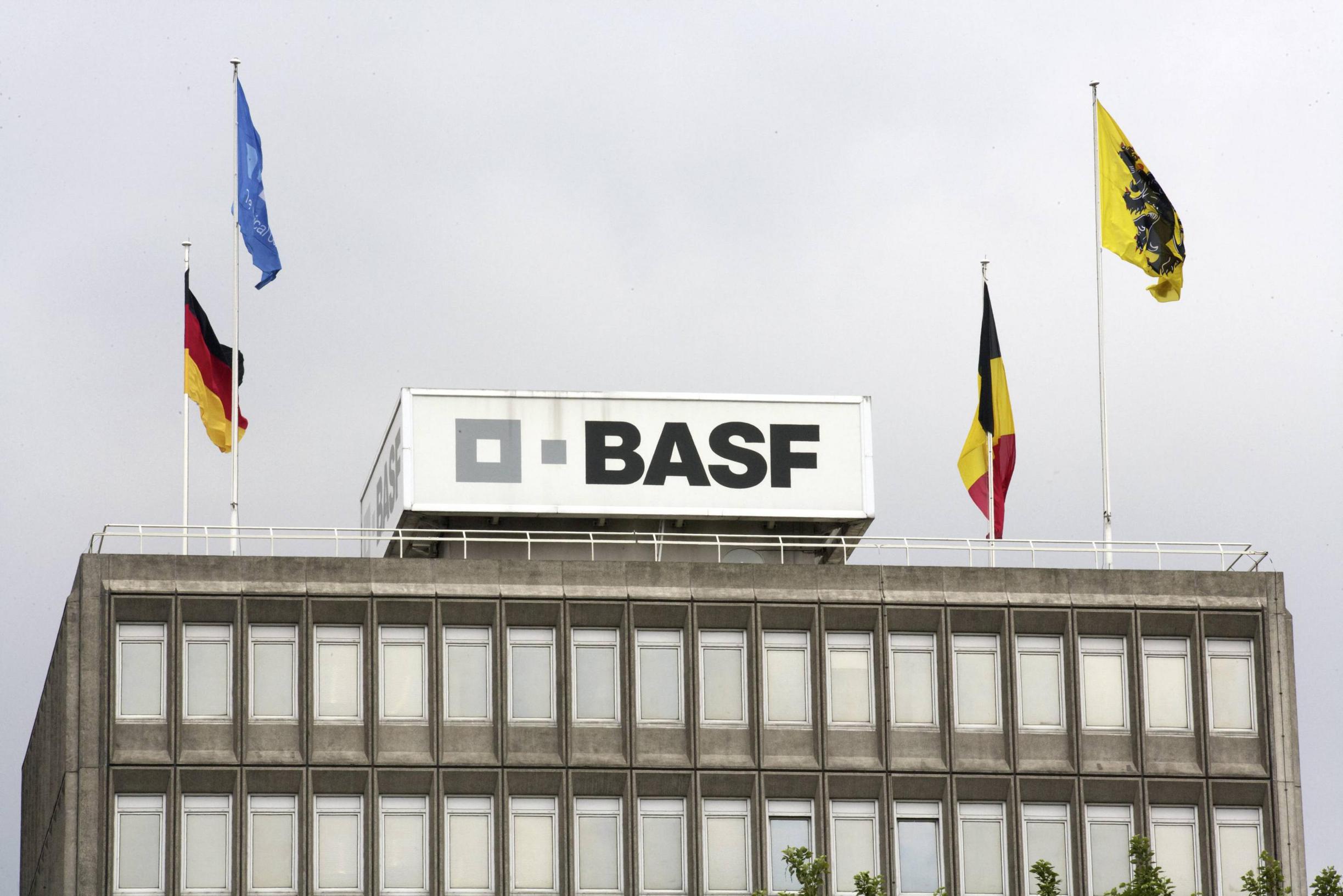 BASF, a major chemical company, to reduce workforce