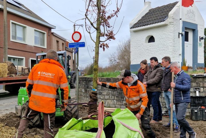 Kapel in de Eikkapellaan heeft opnieuw een eik: “Meer groen op zo’n iconische plaats is zeker welkom”