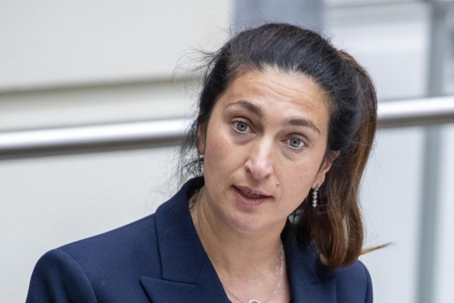 Belgium to Introduce Deposit System by End of 2025: Environment Minister Demir