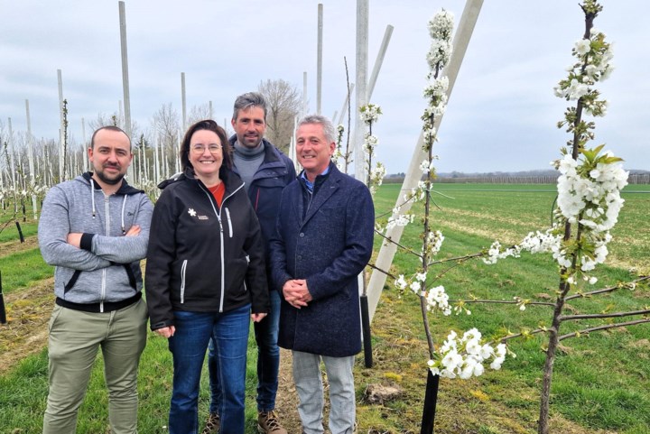 B(l)oeiend Hageland viert tiende editie, net iets vroeger dan gepland: “De bloesems waren ons bijna te snel af”