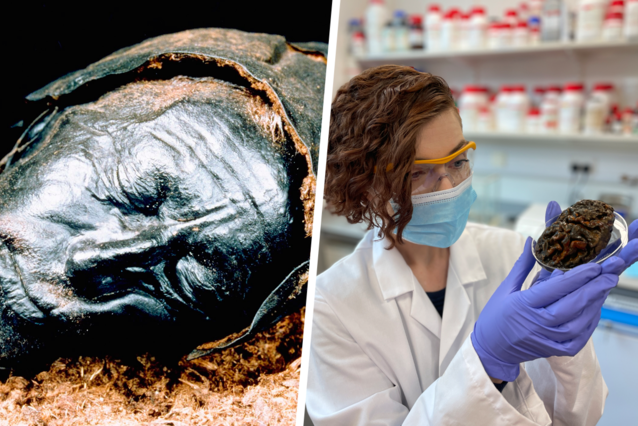 British scientist will examine a thousand-year-old Ypres brain: “When I hear rattling, I am shocked”