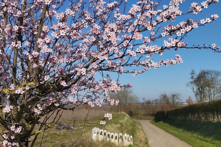 Onze wandeltip: over de heuvels van Groot-Gelmen en langs mysterieuze graven van 500 jaar oud