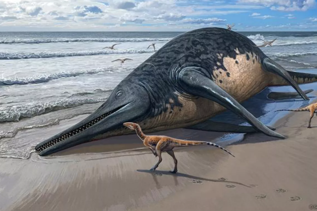 Scientists Uncover Largest Reptile Fossil in UK Beach