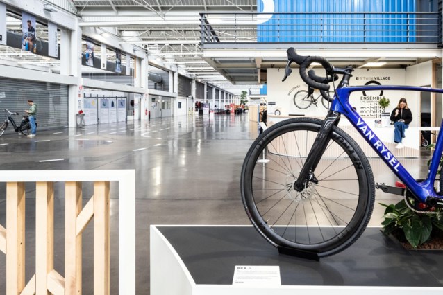 Decathlon aims to attract dedicated athletes with the Van Rysel racing bike, known as the Aldi of sporting goods.