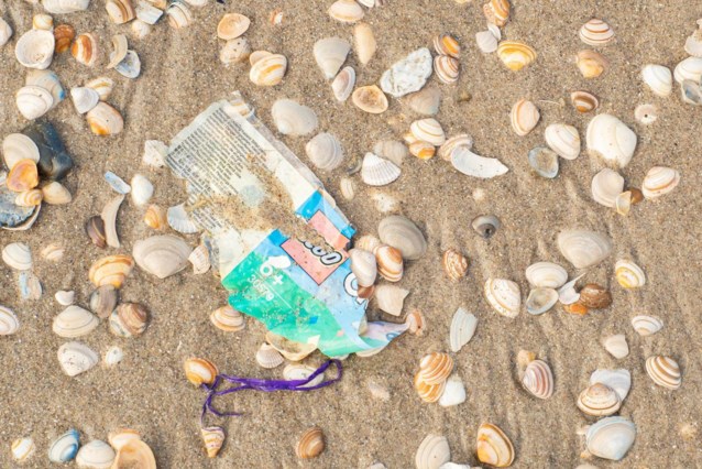 Rare Lego Octopus Found by 13-Year-Old on Marazion Beach – Incredible Discovery!