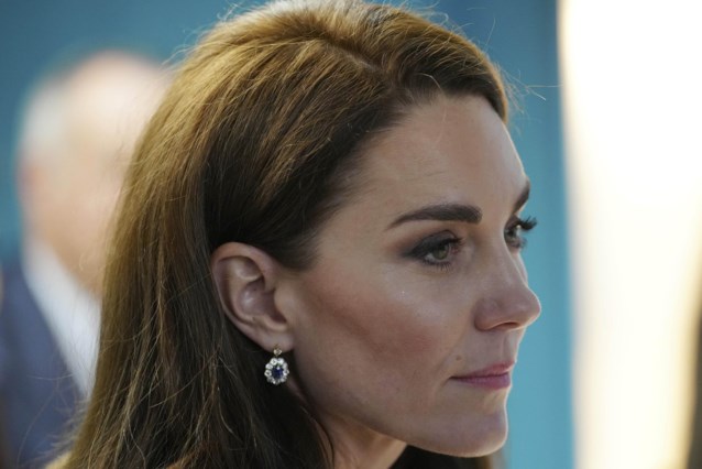 British Princess Kate unveils new project while emphasizing the importance of privacy during recovery