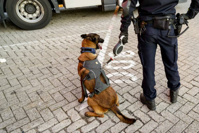 Dutch arrest team must shoot its own attack dog