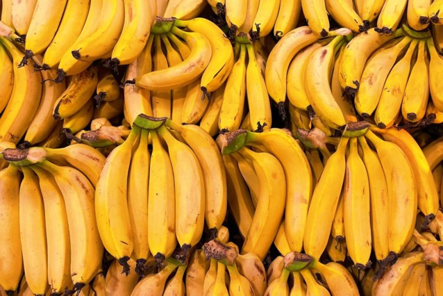 More than 40 kilos of cocaine found among bananas destined for French supermarkets