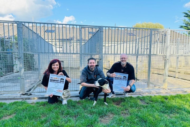 Dierenasiel Tienen heeft nood nieuwe buitenhokken, en dus starten Dominique en Bart  met benefietactie