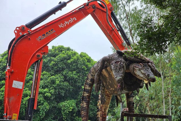 125 crocodiles slaughtered in Thailand over fears of escape after floods