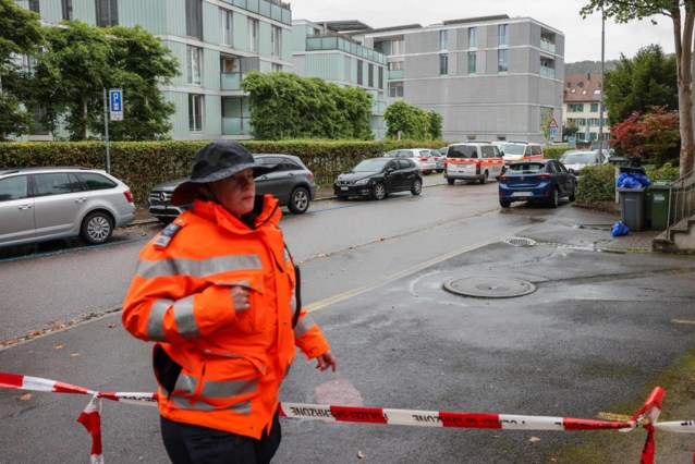 Chinese student (23) confesses to knife attack in Zurich, children out of danger