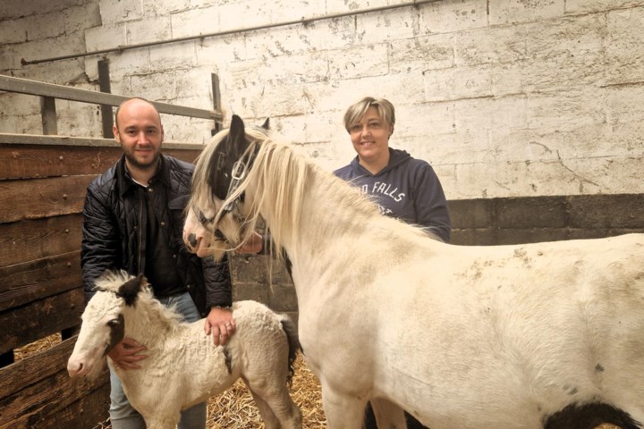 Zorgboerderij betrekt kinderen én volwassenen: word jij een buddy op de Deboeshoeve?