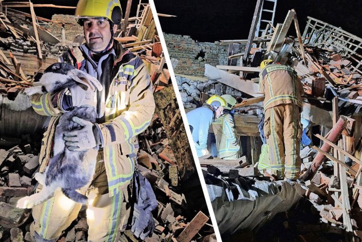 Brandweer redt konijnen uit ingestorte schuur