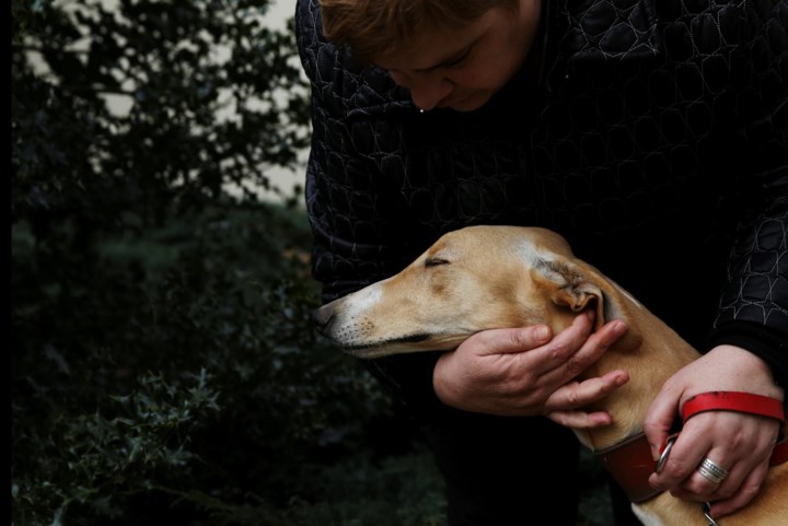 Halloweenwandeling ten voordele van Greyhounds in Nood