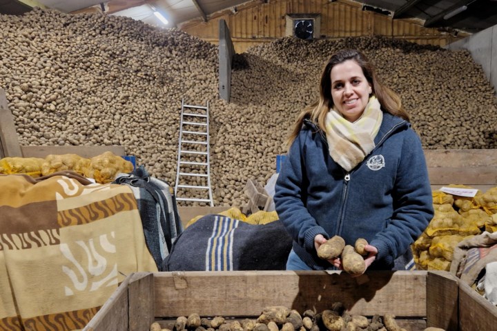 Aardappelboerin Annie schenkt gratis aardappelen weg aan mensen in nood: “Ik had niet verwacht dat er zoveel reactie zou komen”