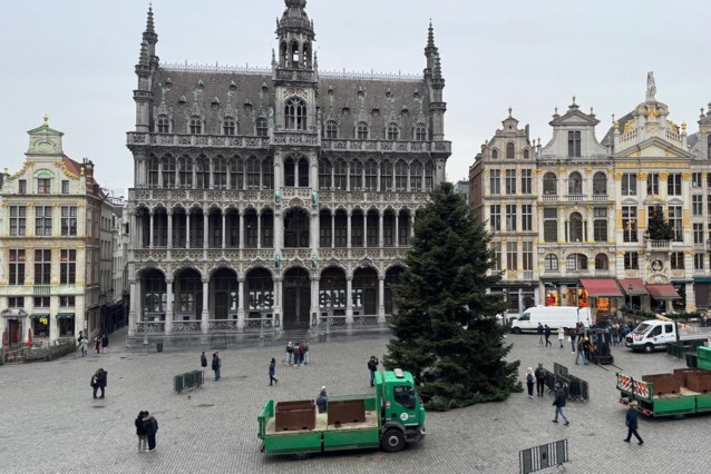 Twintig meter grote kerstboom aangekomen op Grote Markt: "Het lichtspel zal doen denken aan dat van de Eiffeltoren"