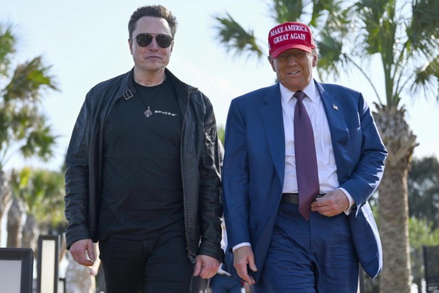 Elon Musk is richer than ever, and he has Donald Trump to thank for that