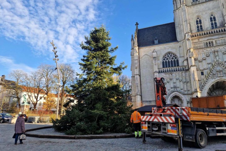 Grote kerstboom toegekomen en  Wintermagie in opbouw