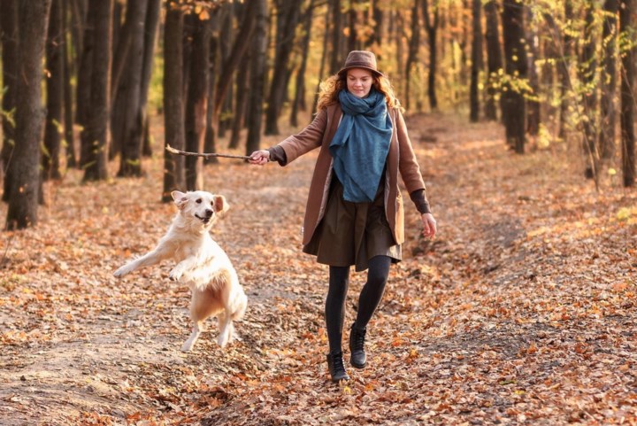 Hier wordt je hond dolgelukkig van: de leukste herfstwandelingen in Limburg