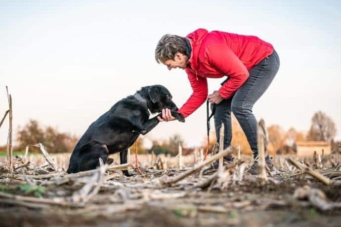 Hondje Hugo zit al 1.238 dagen in het asiel: “Mensen beseffen niet dat elk ras een eigen karakter heeft”