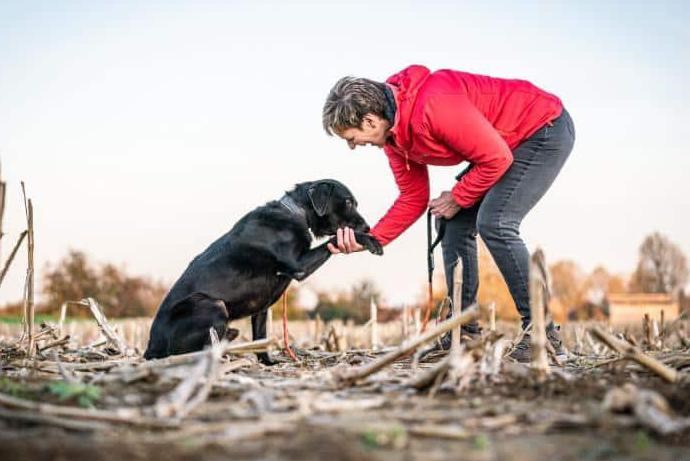 Na meer dan 1.200 dagen toch gouden mandje voor Hugo? Dierenasiel praat met potentiële baasjes