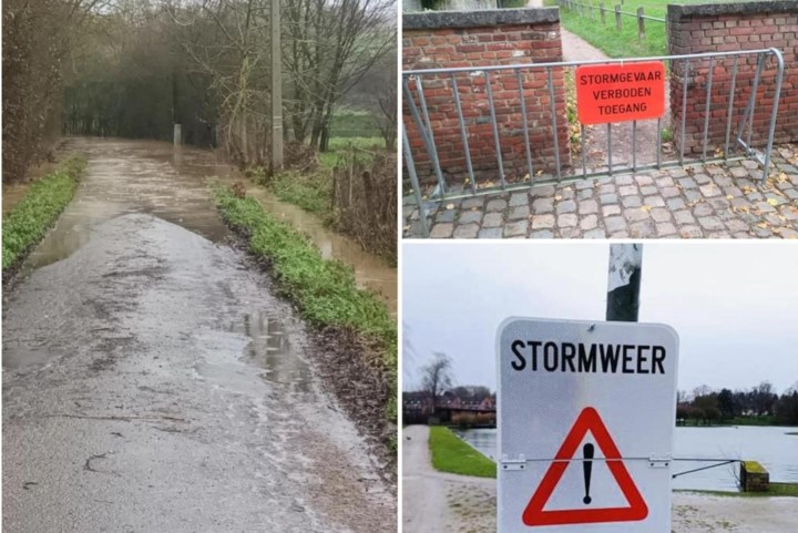 LIVE. Hevige wind veroorzaakt eerste hinder: huizen zonder stroom door omgevallen boom, noodnummer geactiveerd