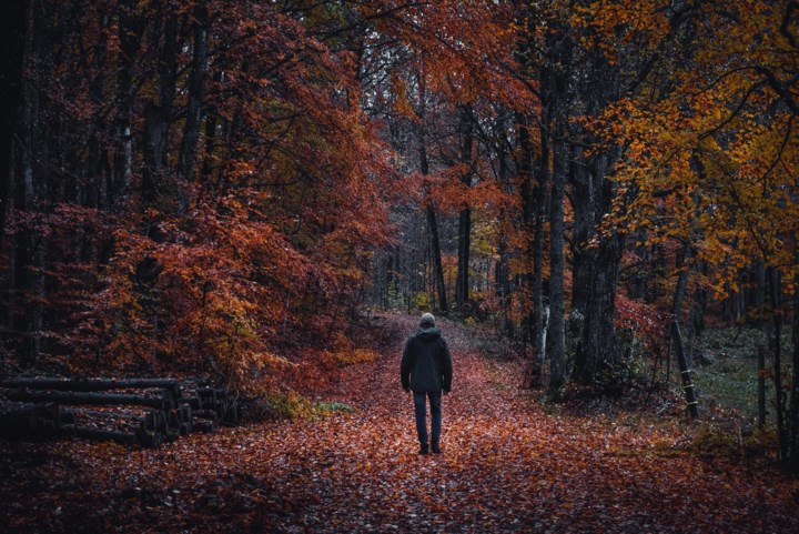 Truienaar (64) krijgt 15 maanden omdat hij naaktfoto’s van mannen met erectie op wandelpaden en kerkhof legt