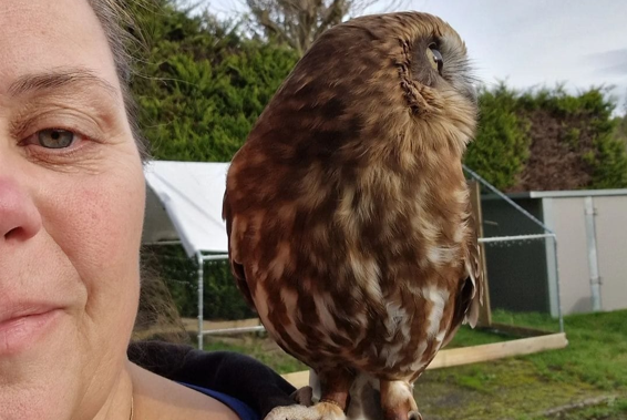 Miriam komt na maandenlange zoektocht te weten dat haar uiltje Howie al in zomer dood was: “Het opvangcentrum heeft bewust gelogen”