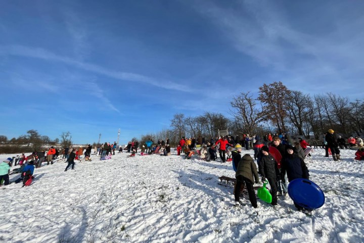 Dit weekend sneeuwfestival in Sint-Truiden: “De perfecte locatie om van de heuvel te sleeën”