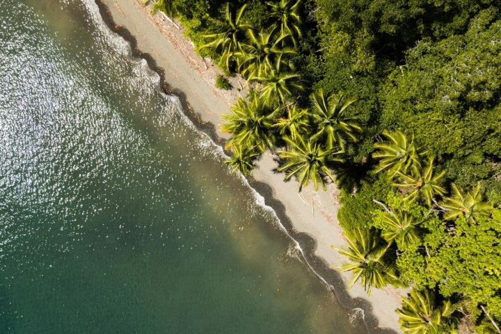 Met de wind in de zeilen langs Costa Rica: bultruggen en koffie à volonté