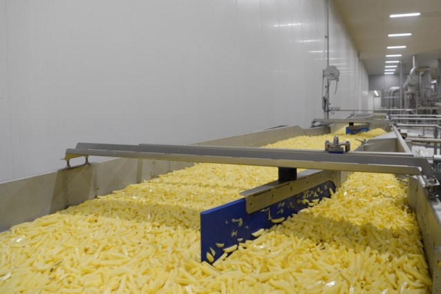 Fries producer Agristo builds first factory in US (Wielsbeke)