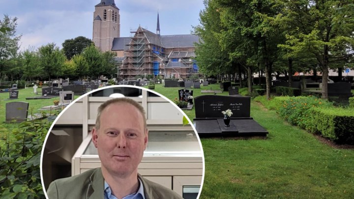 Groen Plus scherp over kappen 100-jarige bomen op kerkhof, gemeente reageert: "Moeilijke keuze tussen boom en graf, erfgoed en erfgoed"