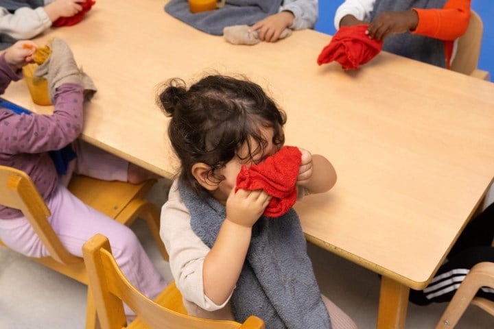 Constitutional Court cancels new priority rules for access to childcare