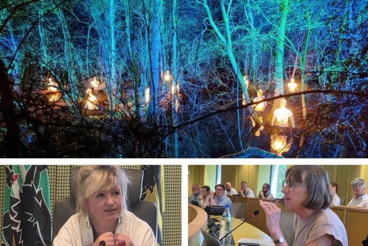 Wegvluchtende reeën en avondspel met schietoefeningen: lichtspektakel in beschermd natuurgebied krijgt staartje in provincieraad
