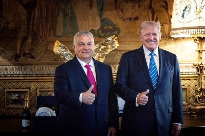 Grondwetspecialist Kim Lane Scheppele: “Amerika is nog geen dictatuur. Maar als we Trump niet stoppen, wordt het er een”