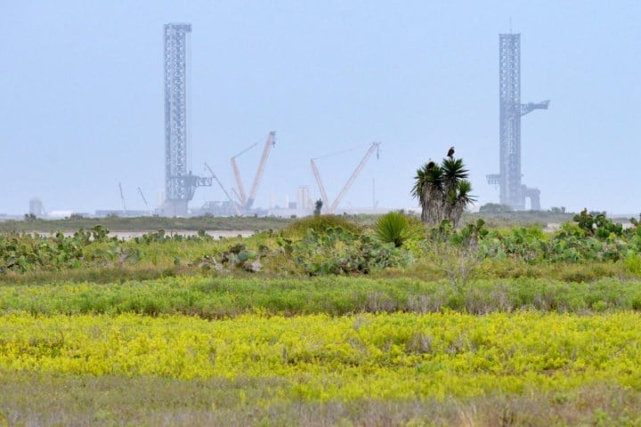 Elon Musk krijgt zijn zin: SpaceX-site in Texas wordt gemeente