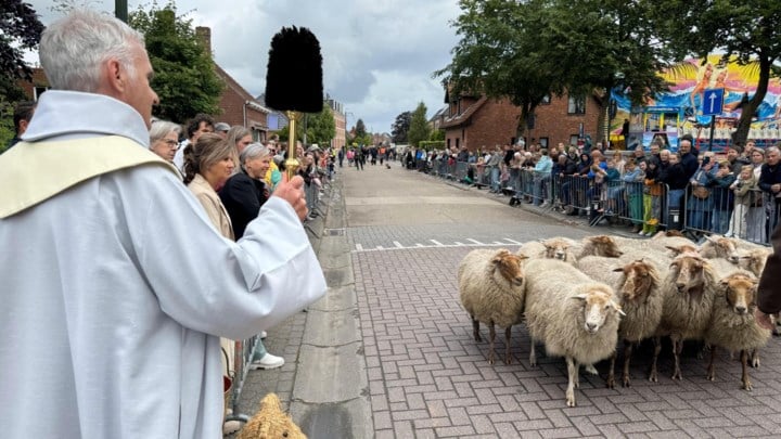 Dierenzegening en jaarmarkt brengen veel volk op de been
