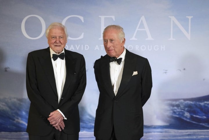 99-jarige documentairemaker David Attenborough brengt nieuwe klimaatfilm uit: “We hebben het leven uit onze oceanen laten wegvloeien”