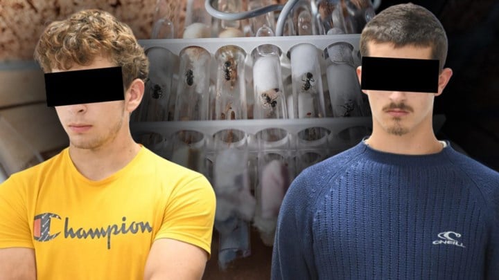 Kunnen jonge Kempenaars binnenkort terug naar huis of blijven ze in Keniaanse cel? Morgen uitspraak in mierensmokkelproces