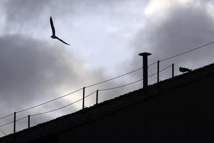LIVE. Glimp opvangen van witte rook bij conclaaf nieuwe paus kost 1.000 euro per dag