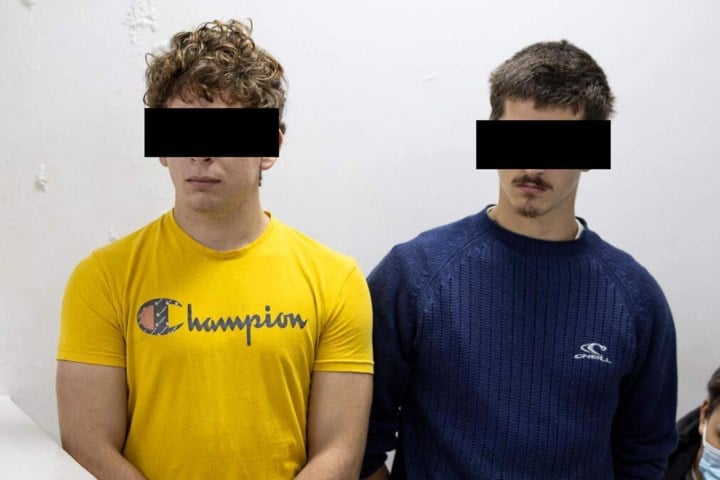 “Ze hebben berouw getoond”: Molse ‘mierensmokkelaars’ betalen meteen boete van 7.000 euro en hebben gevangenis verlaten
