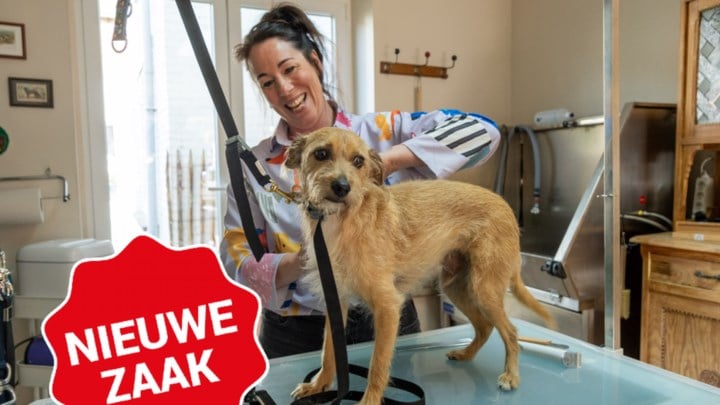 Ingrid stapte uit de ‘rat race’ en heeft rust gevonden als hondenkapster: “Als een hond zenuwachtig is, trim ik hem gewoon in twee of drie keer”