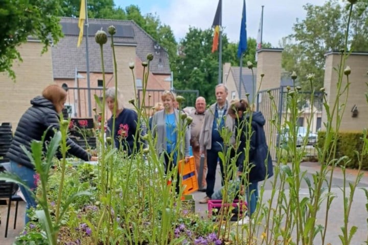850 gratis bloemenpakketten fleuren gemeente op