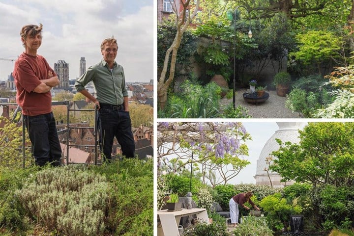 Tuinarchitecten Bart en Pieter tonen hoe je zelfs in stad groene oases creëert: “Prachtige resultaten met minimale inspanningen”